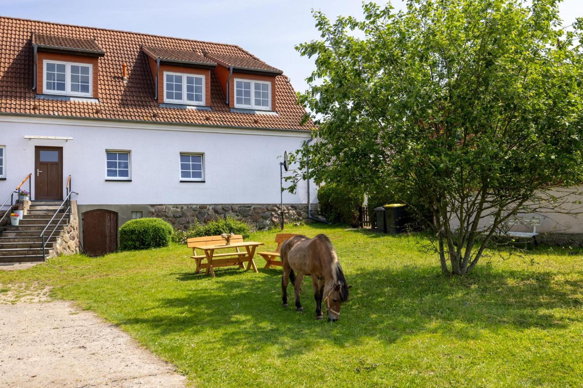 Ferienwohnung "Flori'S Ponyhof" Kropelin Exterior photo